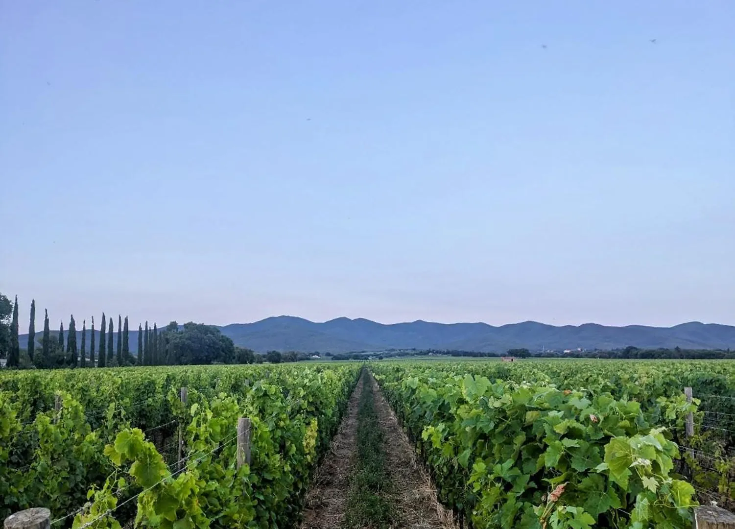 Agriturismo I Debbi Bibbona 0*,  Italy